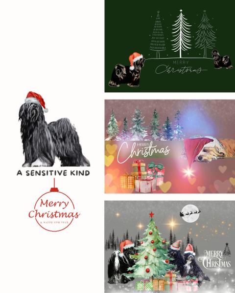 Weihnachtskarten mit Tibet-Terrier-Motiv (3er-Set, klassisch)